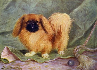 Der Pekinese, Champion Chu-erh von Alderbourne von Lilian Cheviot